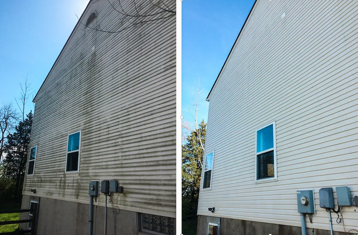 House Cleaning in Lambton
